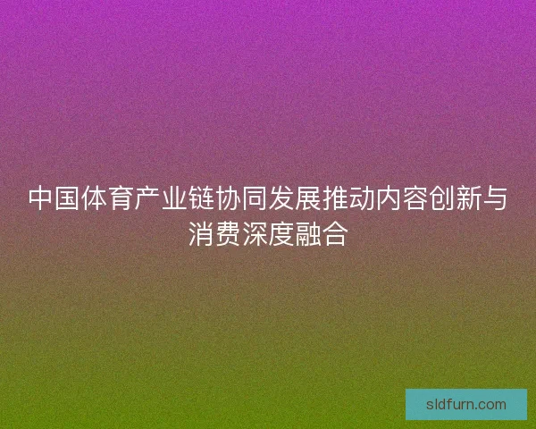 中国体育产业链协同发展推动内容创新与消费深度融合